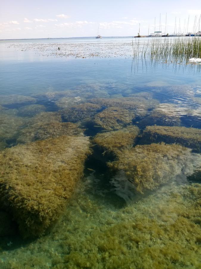 Отель Sorompo Vendeghaz Балатонкенезе Экстерьер фото