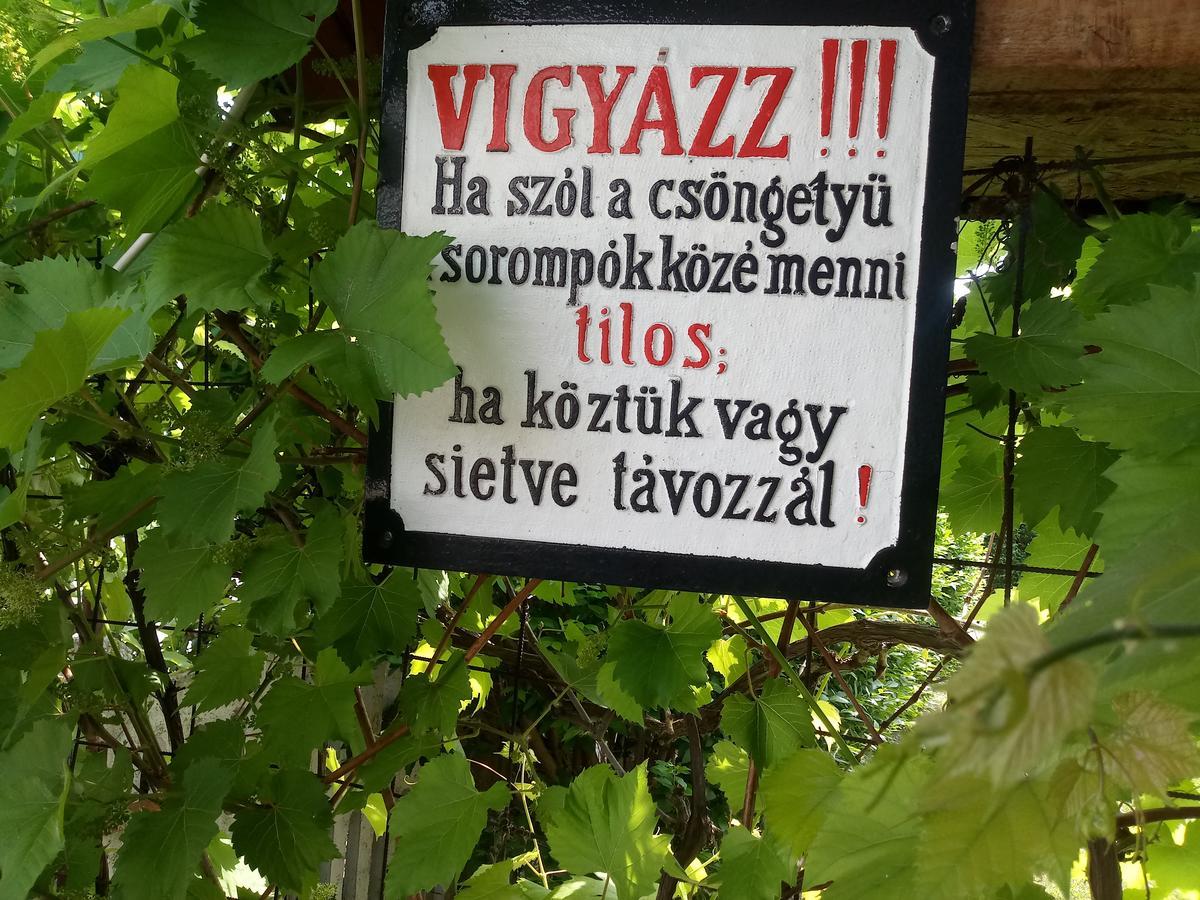 Отель Sorompo Vendeghaz Балатонкенезе Экстерьер фото